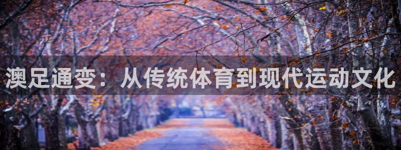 意昂5体育合法嘛：澳足通变：从传统体育到现代运动文化