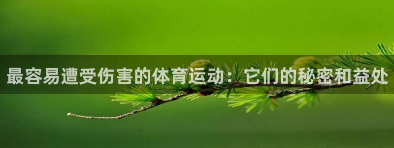 意昂5登录注册：最容易遭受伤害的体育运动：它们的秘密和益处