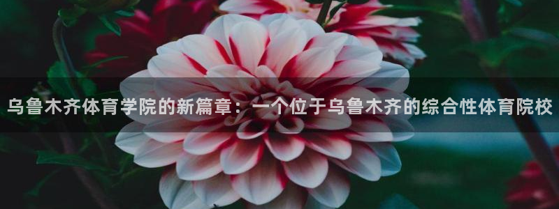 意昂5体育凯捷平台招商：乌鲁木齐体育学院的新篇章：一个位于乌鲁木齐的综合性体育院