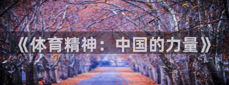 意昂5f凯捷注册：《体育精神：中国的力量》