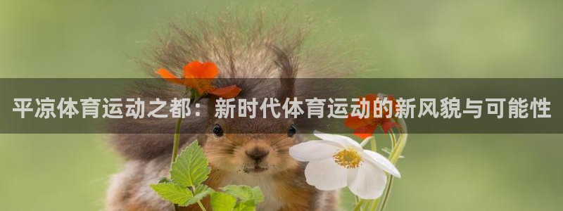 意昂55：平凉体育运动之都：新时代体育运动的新风貌与可能性