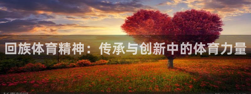 意昂53平台登录注册：回族体育精神：传承与创新中的体育力量