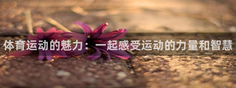 意昂5现在优惠多少：体育运动的魅力：一起感受运动的力量和智慧