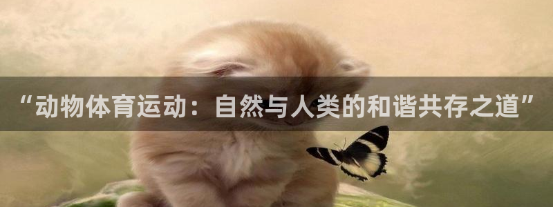 意昂5包怎么样：“动物体育运动：自然与人类的和谐共存之道”