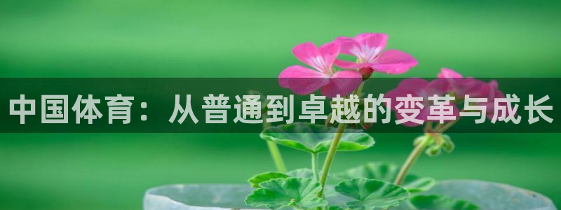 意昂5：中国体育：从普通到卓越的变革与成长