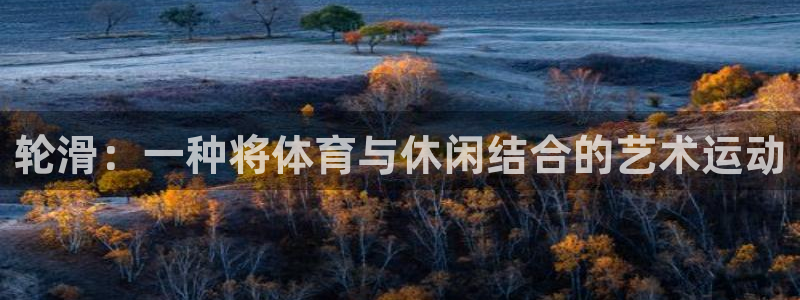 意昂5体育平台注册：轮滑：一种将体育与休闲结合的艺术运动
