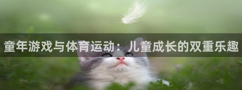 意昂5平台官网：童年游戏与体育运动：儿童成长的双重乐趣