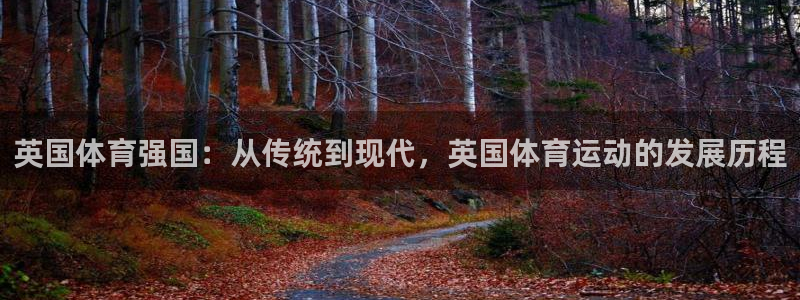意昂53注册：英国体育强国：从传统到现代，英国体育运动的发展历程