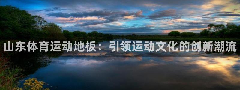 意昂5体育代理申请流程：山东体育运动地板：引领运动文化的创新潮流