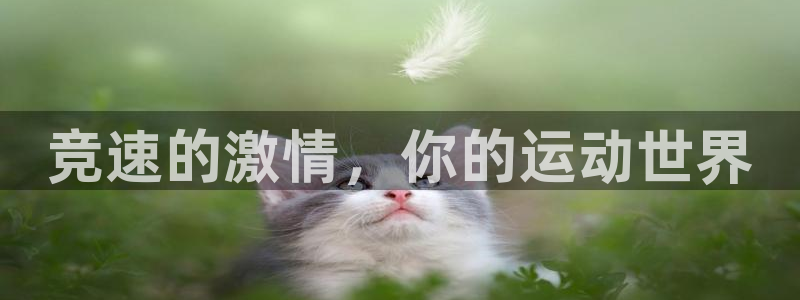 意昂5凯捷开号链接：竞速的激情，你的运动世界