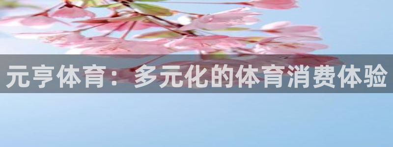 意昂5体育平台总代理：元亨体育：多元化的体育消费体验