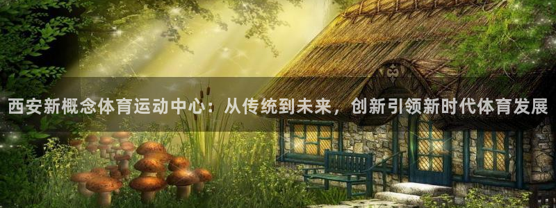 意昂5平台主管：西安新概念体育运动中心：从传统到未来，创新引领新时代体育发展