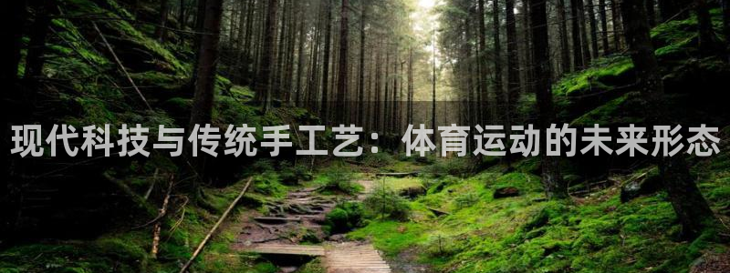 意昂5体育网页版入口：现代科技与传统手工艺：体育运动的未来形态