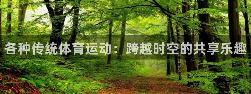 意昂5平台官网：各种传统体育运动：跨越时空的共享乐趣
