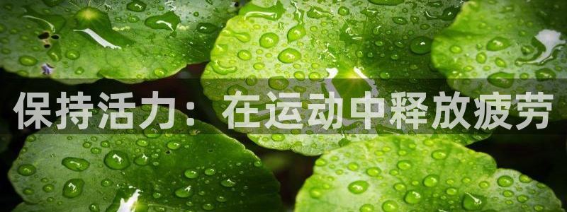 意昂52代理注册：保持活力：在运动中释放疲劳