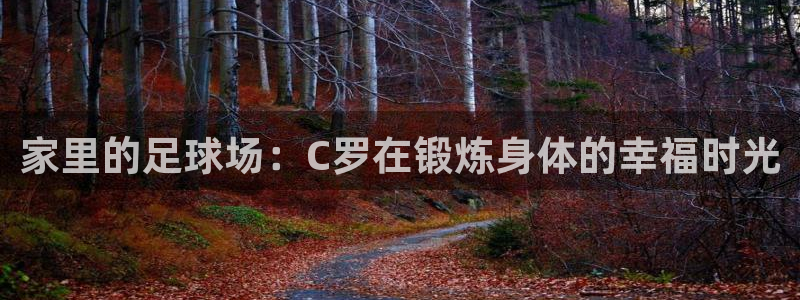 意昂53平台登录注册：家里的足球场：C罗在锻炼身体的幸福时光