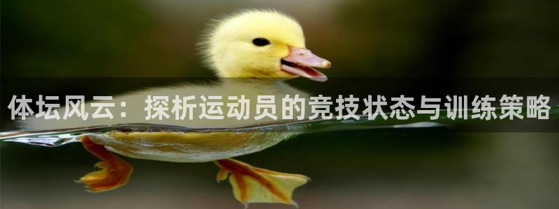 意昂5体育平台总代理：体坛风云：探析运动员的竞技状态与训练策略